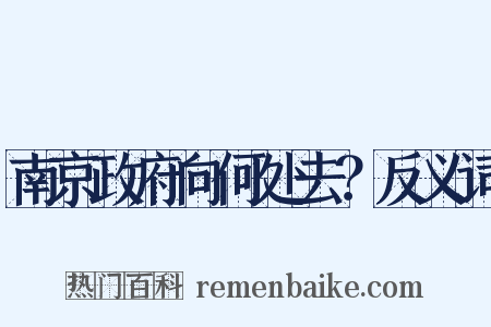 南京政府向何处去？反义词是什么意思的图片